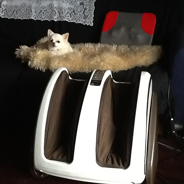 Sangoさんの実例写真