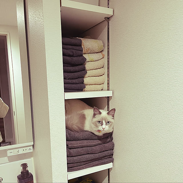 Maiさんの実例写真
