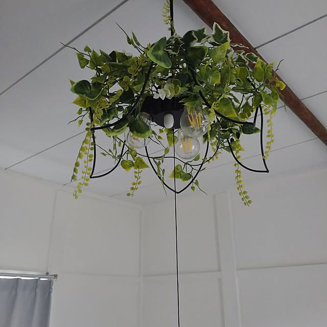 yasunaさんの部屋