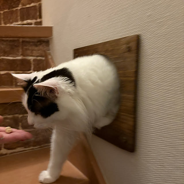 Tetsuyaさんの部屋