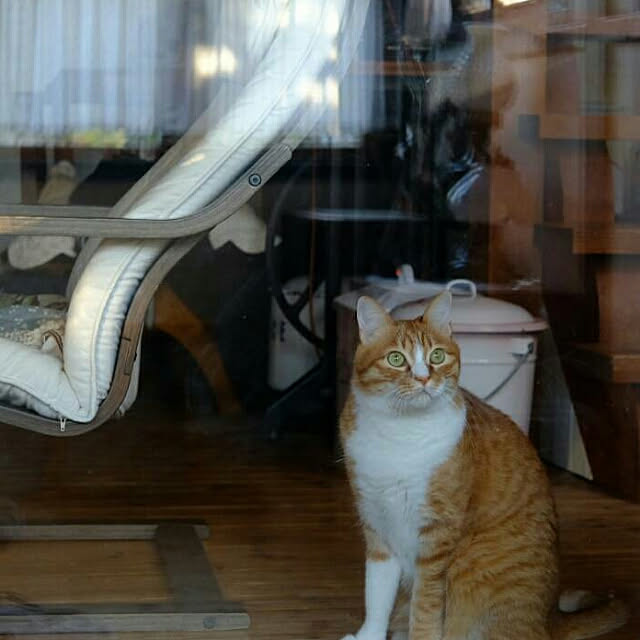 okaasanさんの実例写真
