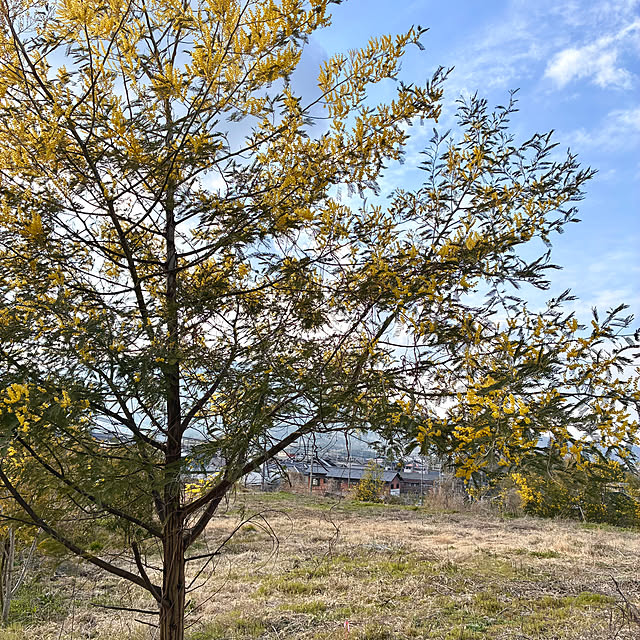 ayayayayaさんの部屋