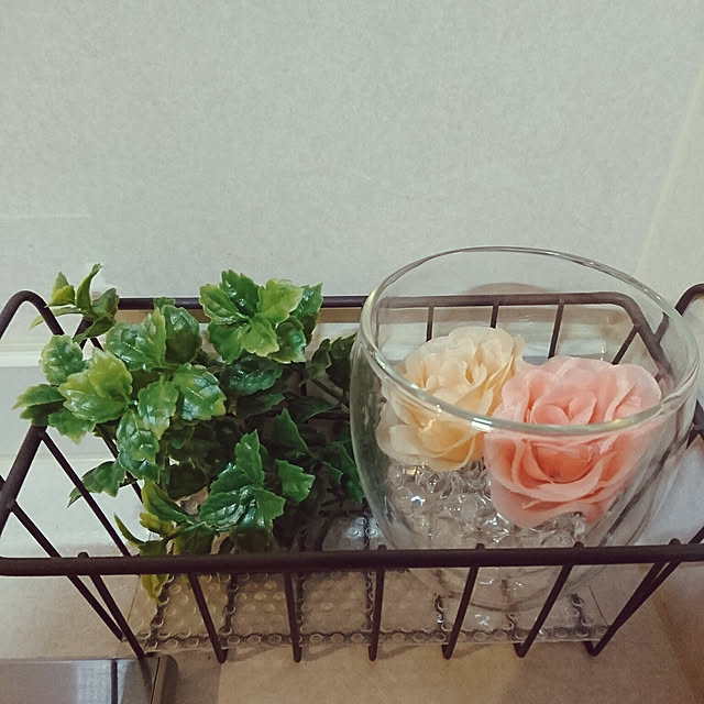 FarblosFlugerさんの実例写真
