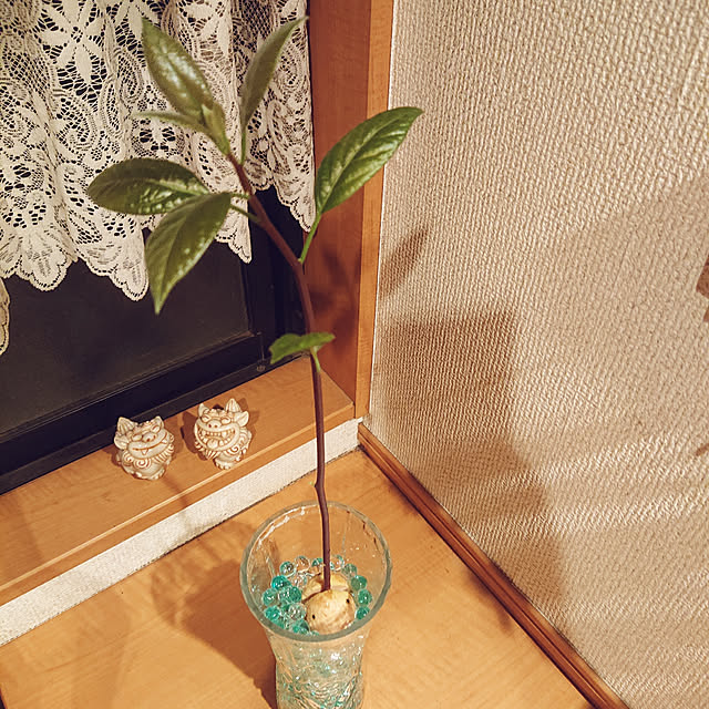 H23さんの実例写真