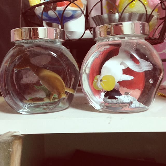 nokuさんの実例写真