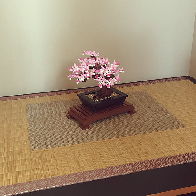 tamaharuさんの実例写真