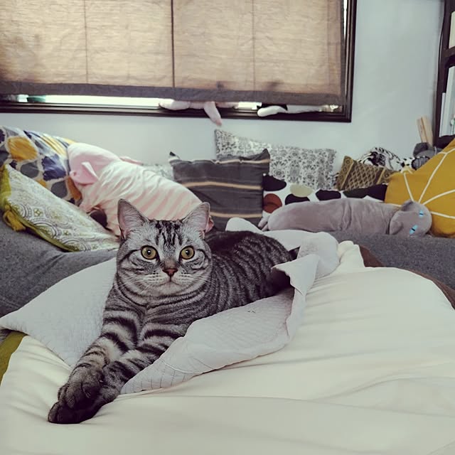 hiro3さんの部屋