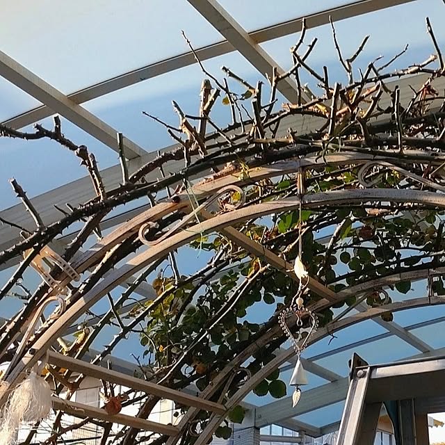 Bienvenueさんの部屋