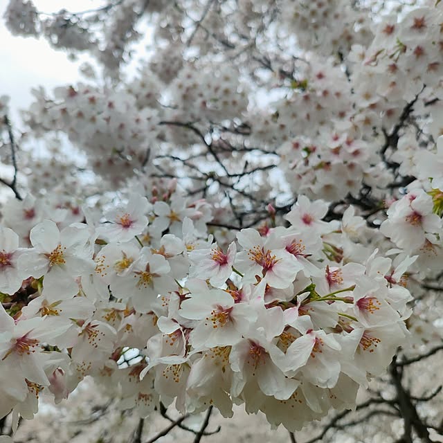 ya_maさんの部屋