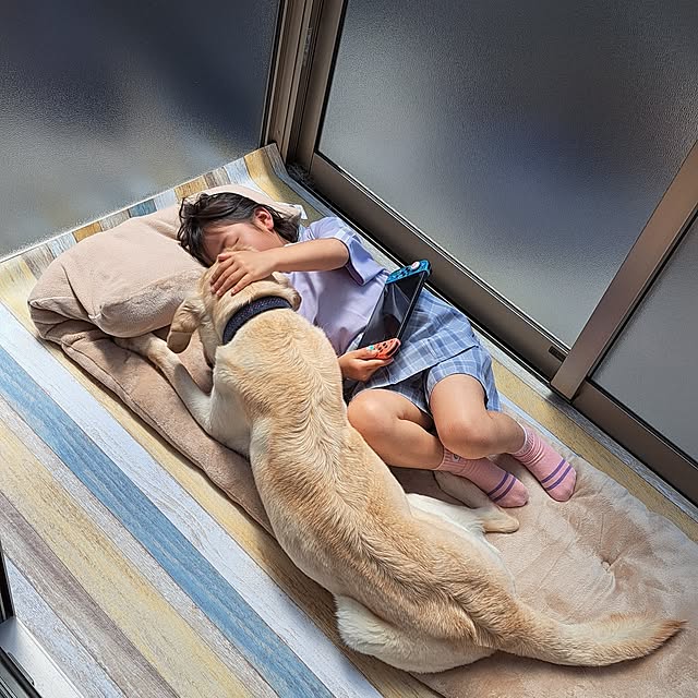 mihiroさんの部屋