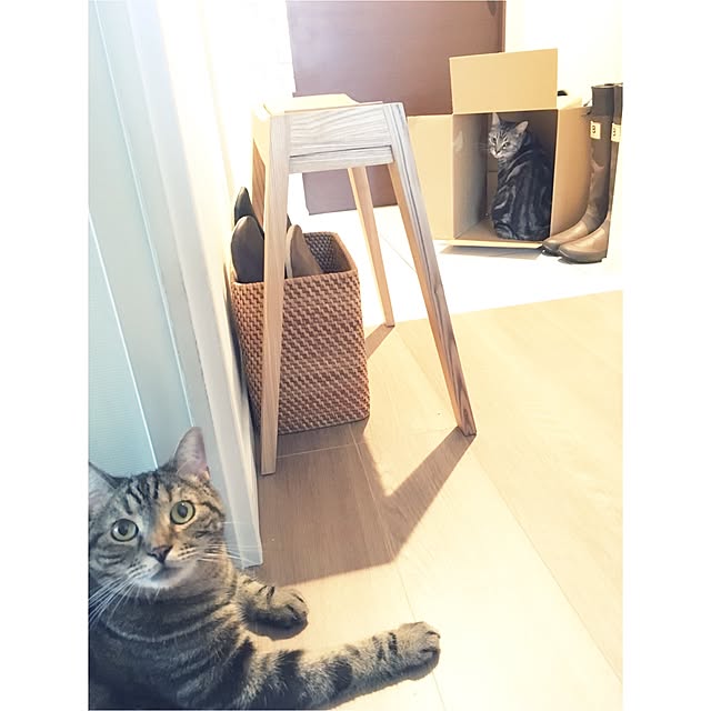 mikomaruさんの実例写真