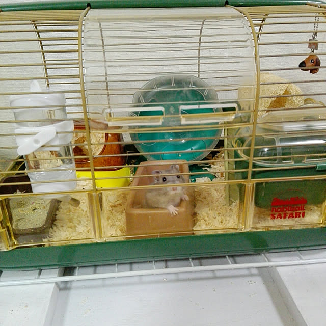 chachaさんの実例写真