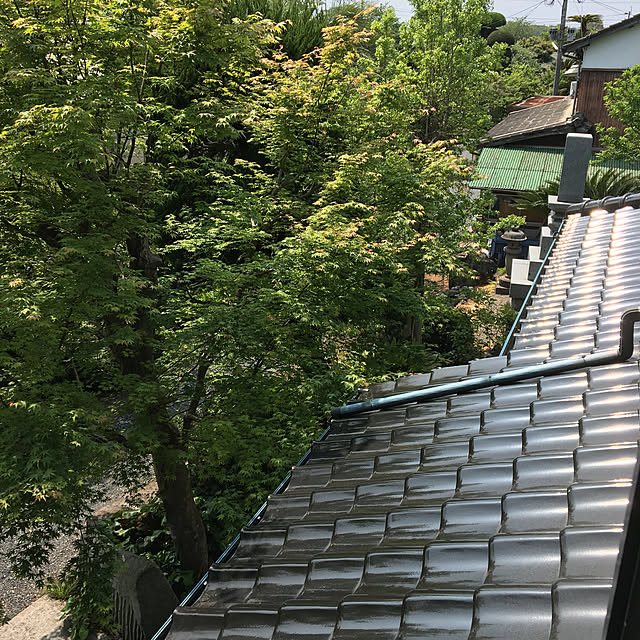 harukiさんの実例写真
