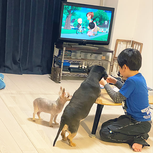 ohanaさんの実例写真
