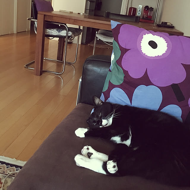 keIgoさんの実例写真