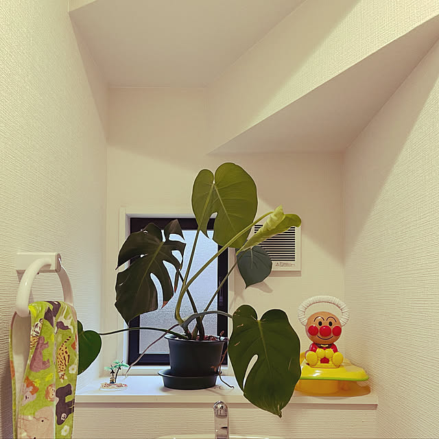 sioppiさんの実例写真