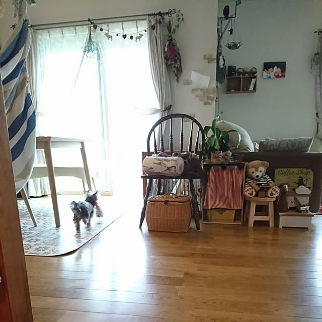 akiさんの実例写真