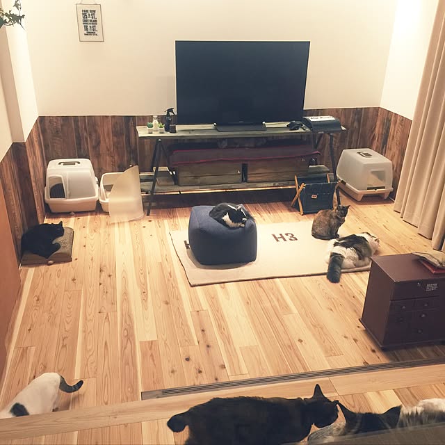 paipan720さんの実例写真