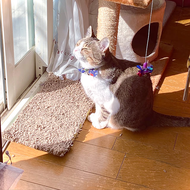 Hinaさんの実例写真