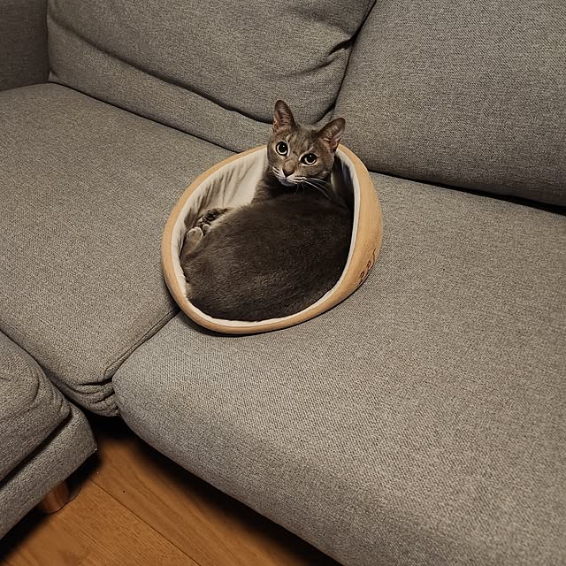 yukiさんの実例写真