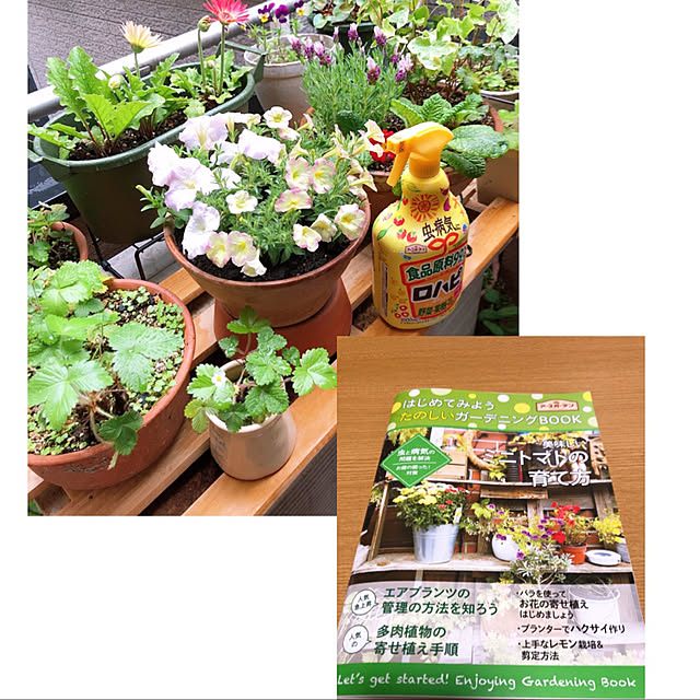 mocoさんの実例写真
