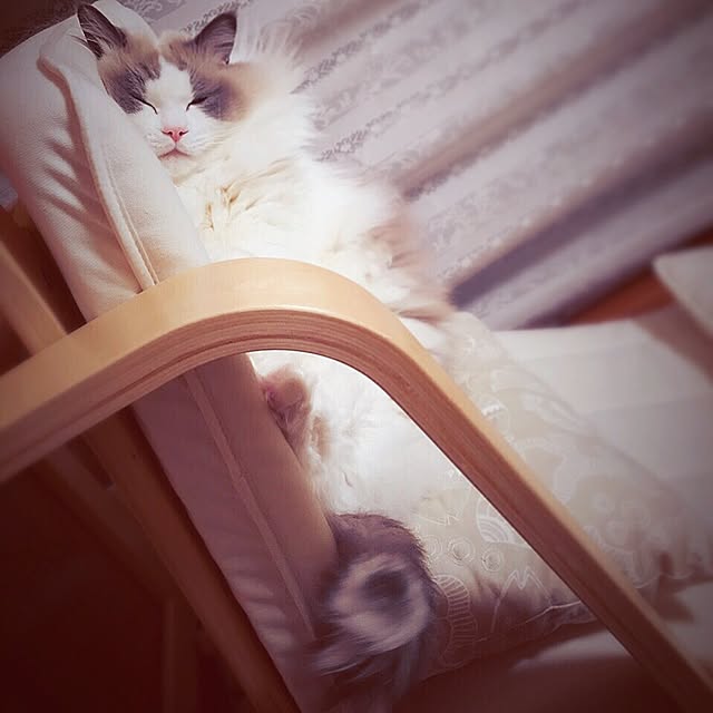 linklinkさんの実例写真