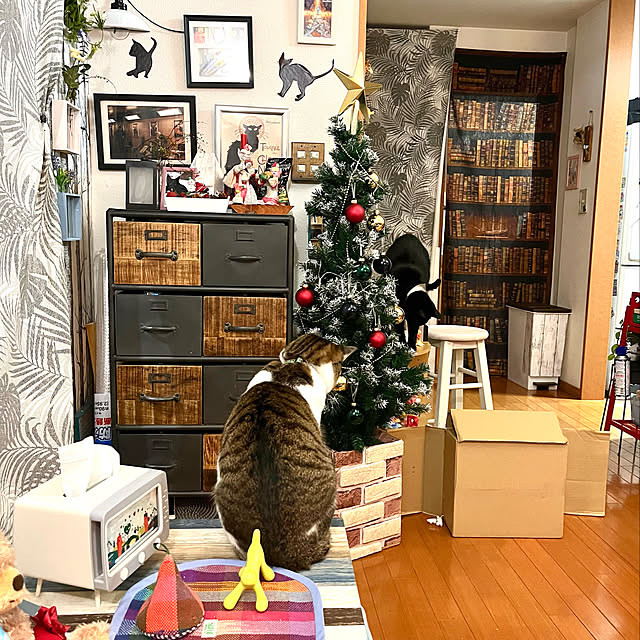 jijiさんの実例写真