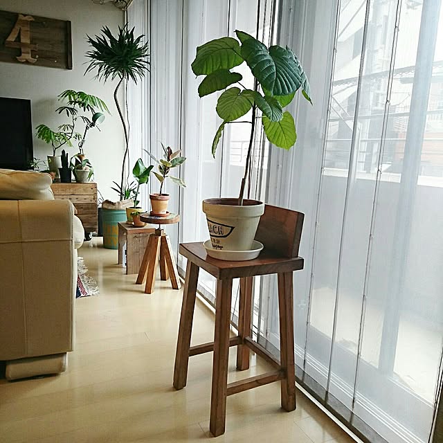 cafe-plageさんの実例写真