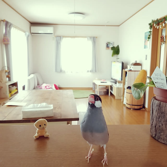 miiさんの実例写真