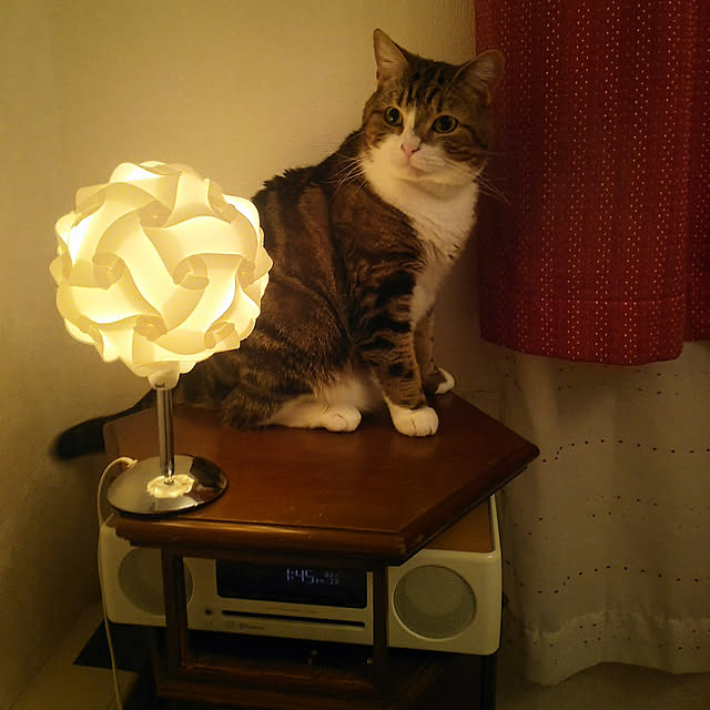 soratotetoさんの実例写真