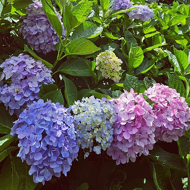 mocomocoさんの部屋