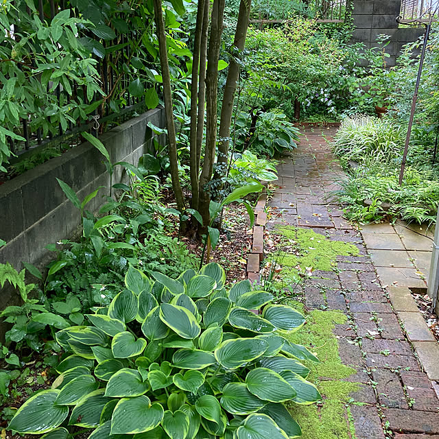 justyさんの部屋