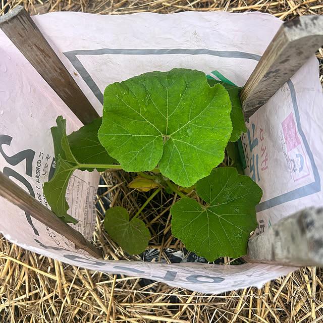 banbinaさんの部屋