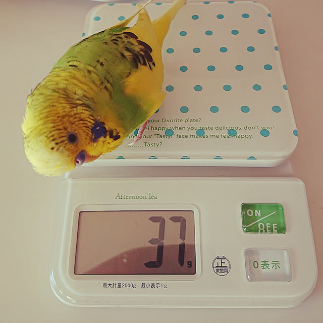 kyonさんの実例写真