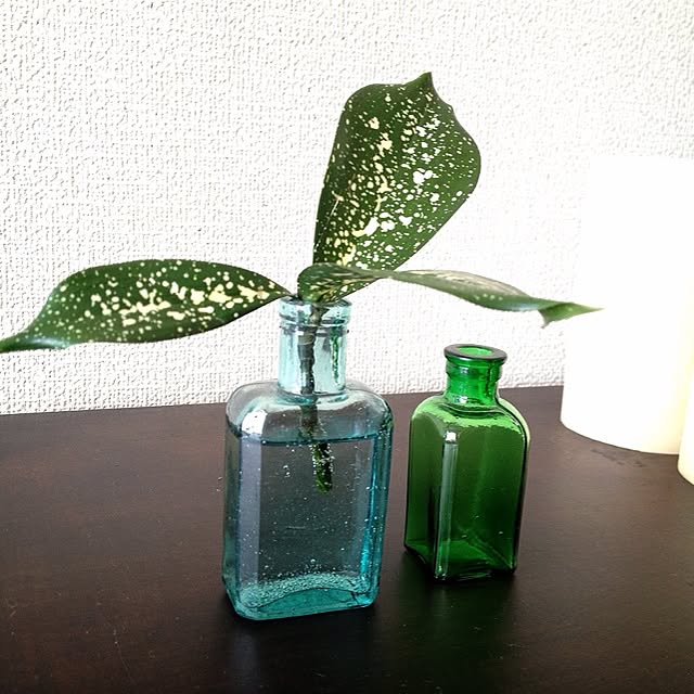 maoさんの実例写真