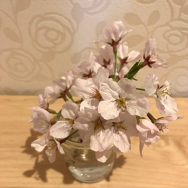 emryuさんの実例写真