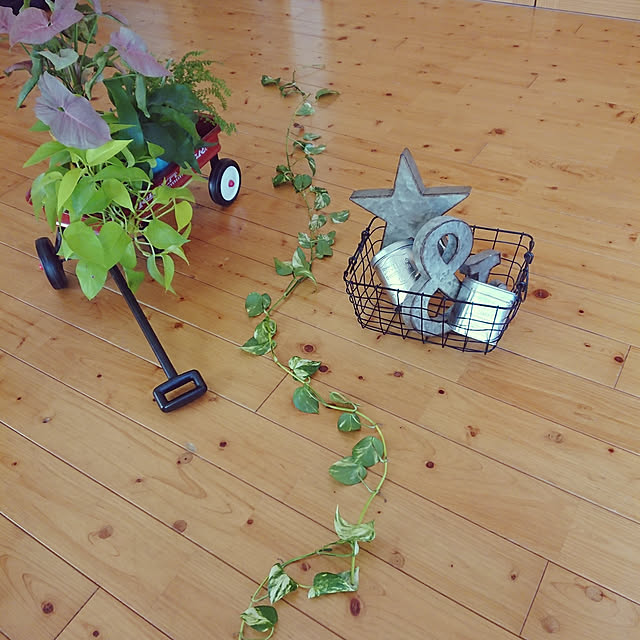skhrさんの実例写真