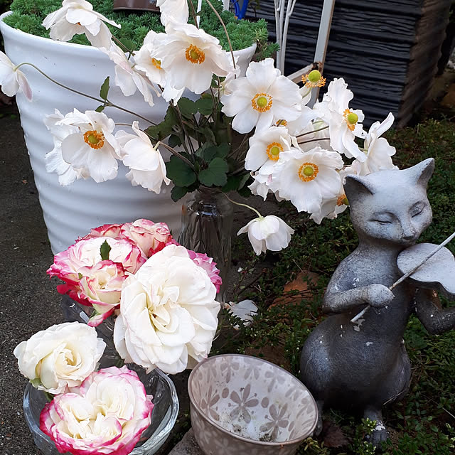 aiさんの実例写真