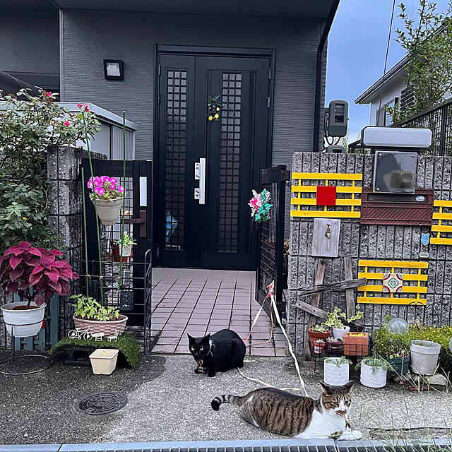 jijiさんの実例写真