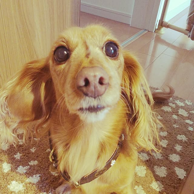 milkさんの実例写真