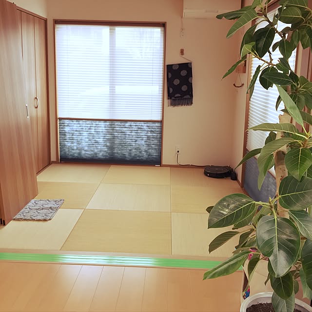 meguchiyoさんの実例写真