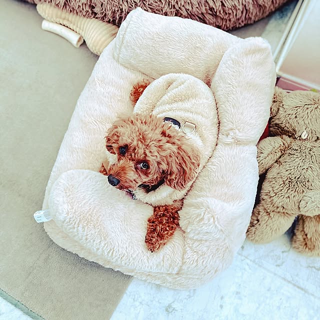 MOMOMAMAさんの実例写真