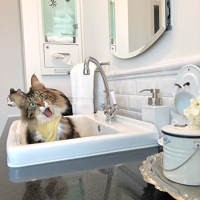 yuchiさんの実例写真