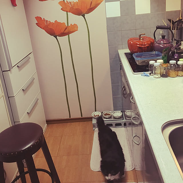 kanaさんの実例写真