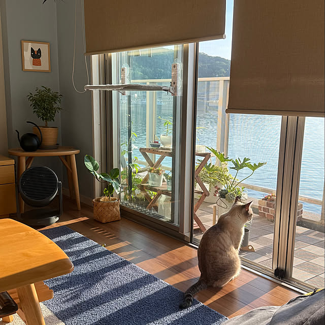 amさんの実例写真