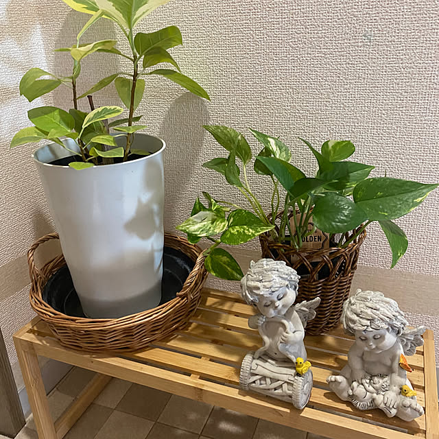 mamimoさんの部屋