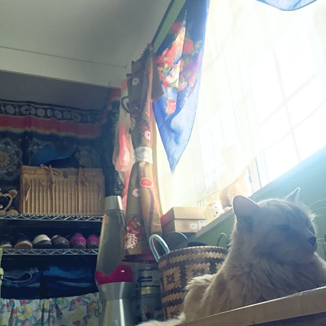 nekohigeさんの実例写真