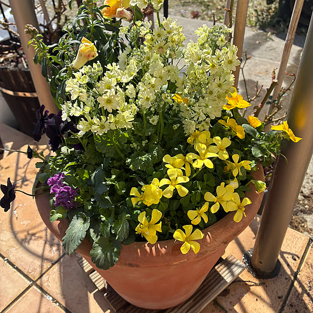 leepo5さんの部屋