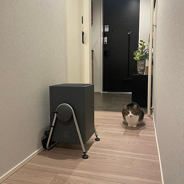 maimaiさんの部屋