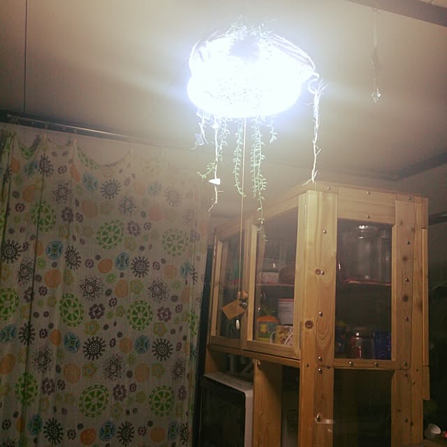 Ritaさんの実例写真